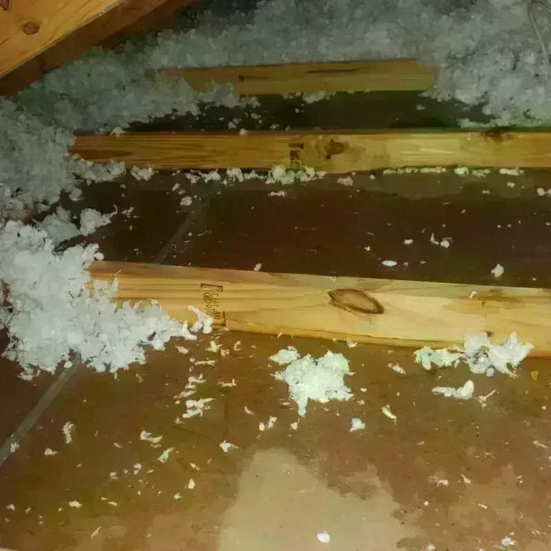 Attic Water Damage in Glen Raven, NC