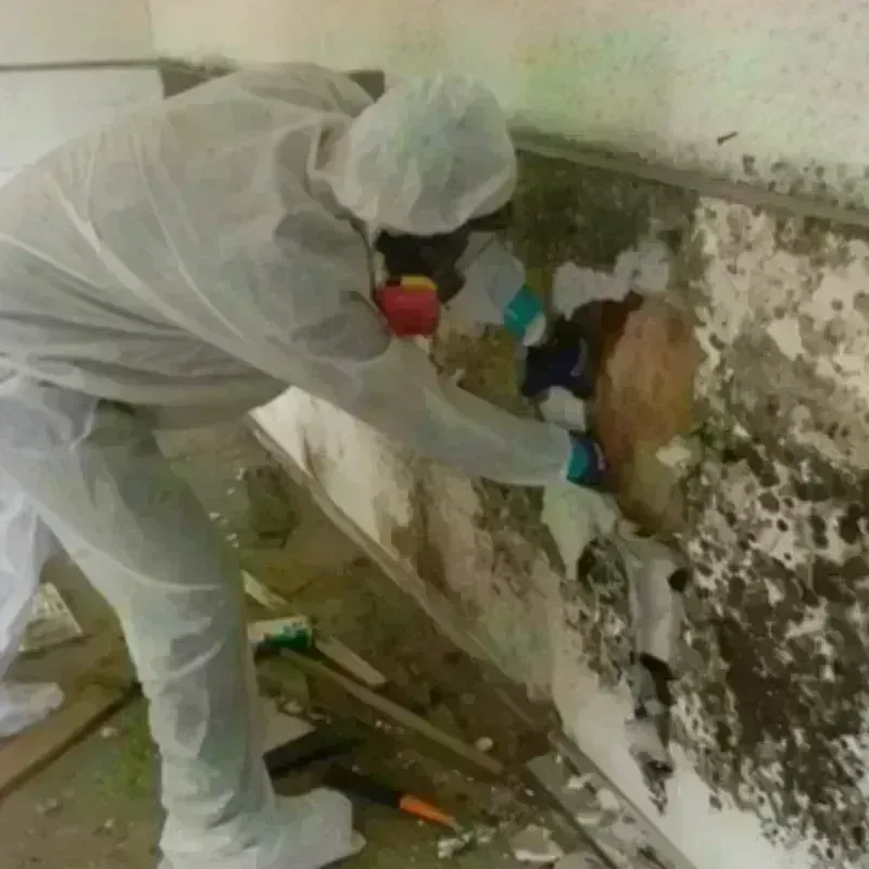 Mold Remediation and Removal in Glen Raven, NC